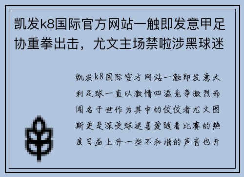 凯发k8国际官方网站一触即发意甲足协重拳出击，尤文主场禁啦涉黑球迷，全力维护比赛秩序 - 副本